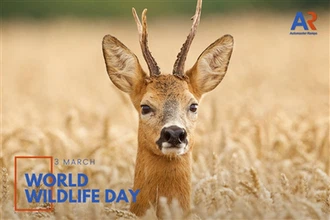 🌍 A vadon élő állatok világnapjának megünneplése: a természet megőrzése, fel...